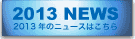 2013NEWS